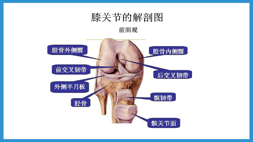 双膝骨性关节炎合并腰椎间盘突出患者的护理查房PPT课件(共48页·可编辑修改)6