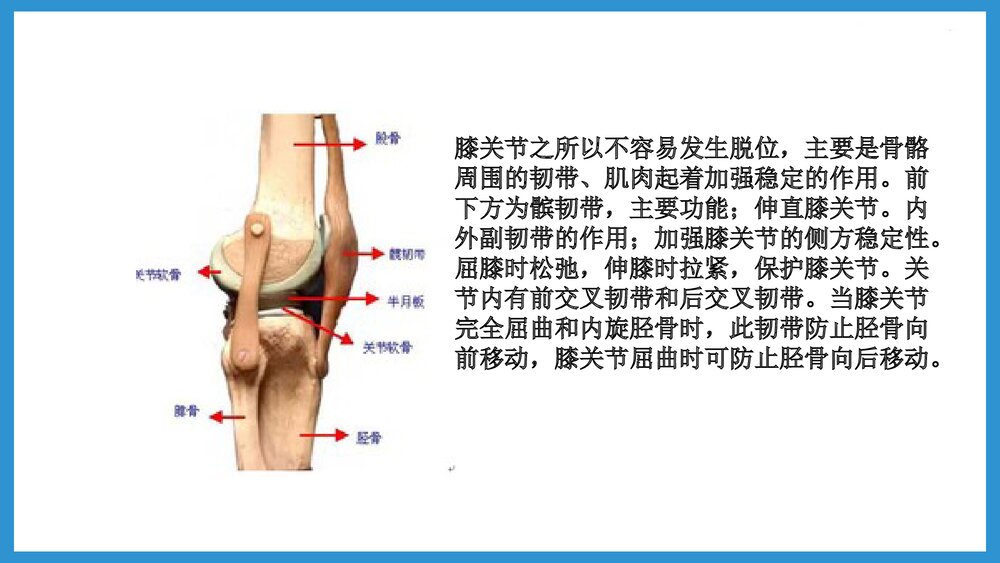 双膝骨性关节炎合并腰椎间盘突出患者的护理查房PPT课件(共48页·可编辑修改)7