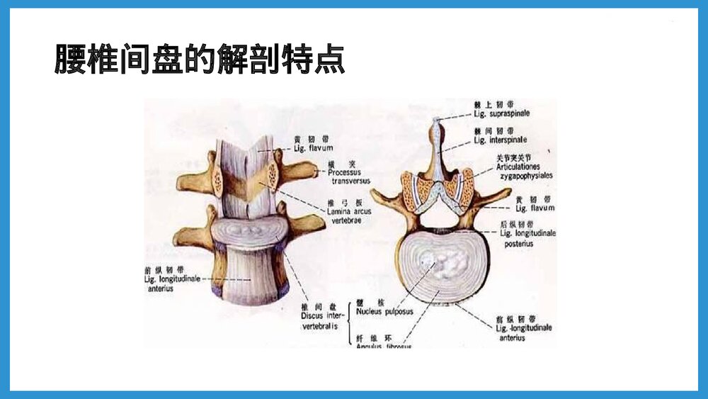 双膝骨性关节炎合并腰椎间盘突出患者的护理查房PPT课件(共48页·可编辑修改)8