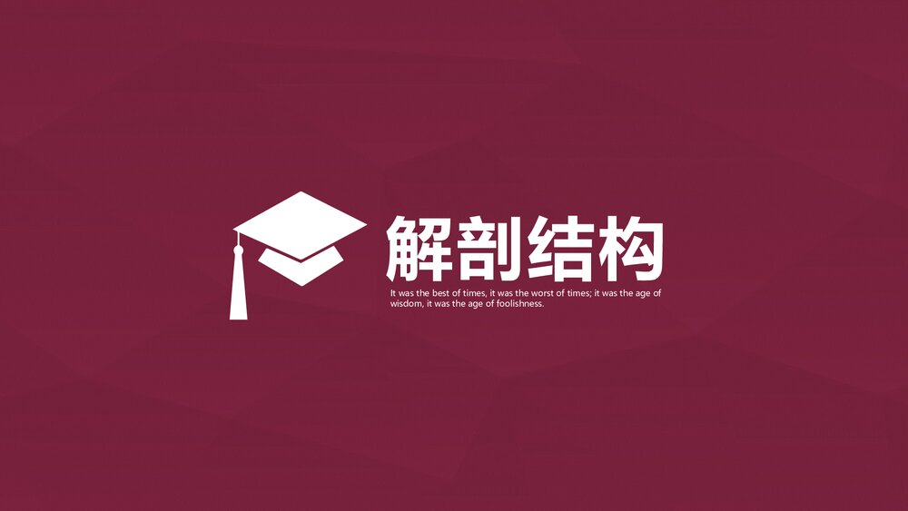 下牙槽神经阻滞麻醉PPT课件下载（共21页·可编辑修改）4