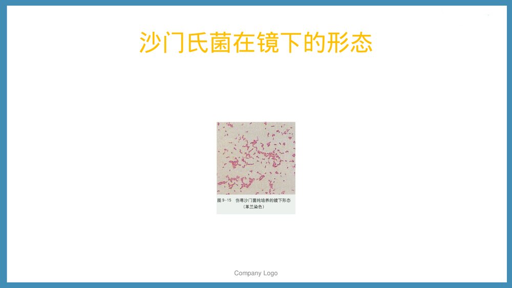 伤寒病人的护理PPT课件下载（共54页·可编辑修改）7