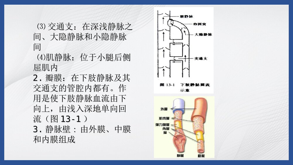 下肢静脉曲张病人的护理PPT课件4