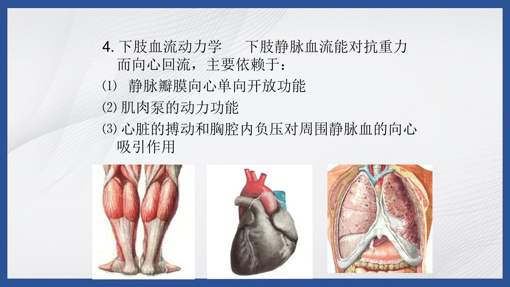 下肢静脉曲张病人的护理PPT课件5
