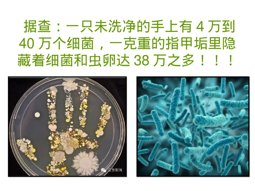 小学生健康卫生知识讲座PPT课件下载4