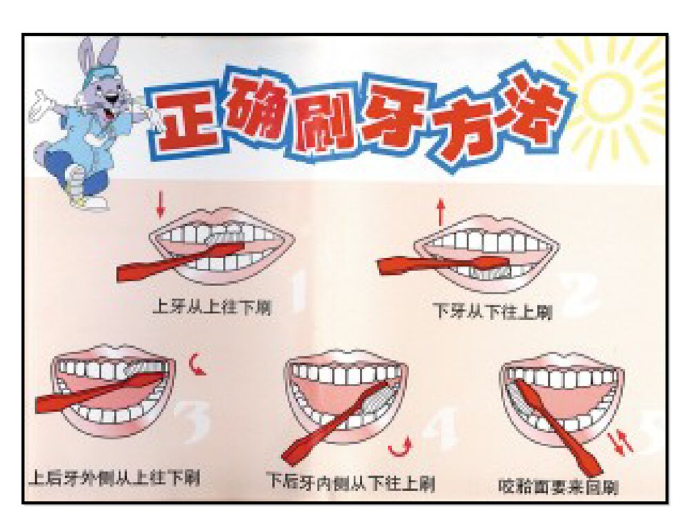 小学生健康卫生知识讲座PPT课件下载9