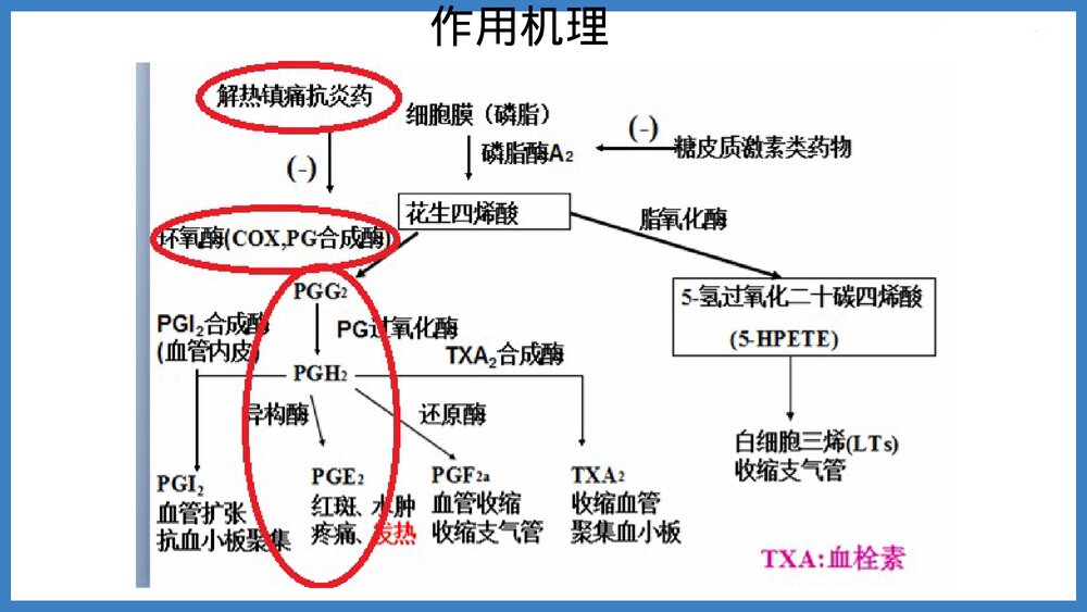 阿司匹林药化PPT课件下载4