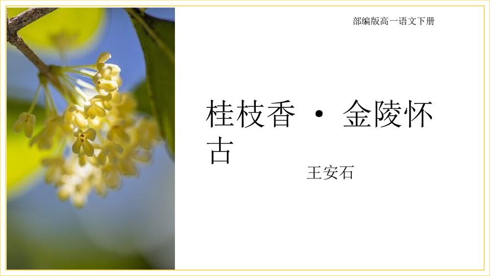 《桂枝香•金陵怀古》部编版高一语文下册PPT课件下载1