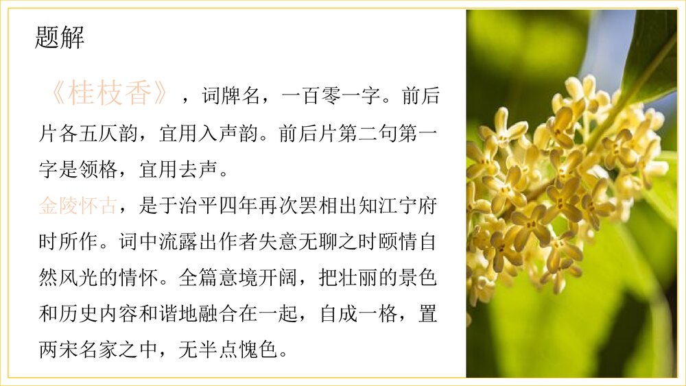 《桂枝香•金陵怀古》部编版高一语文下册PPT课件下载8