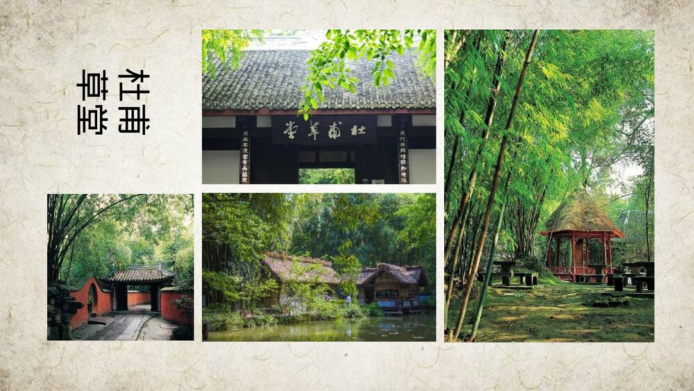 《客至》高中语文选择性必修下册PPT课件4