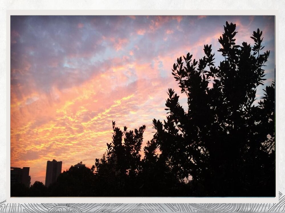 统编版高中语文选择性必修下册 《登快阁》PPT课件10