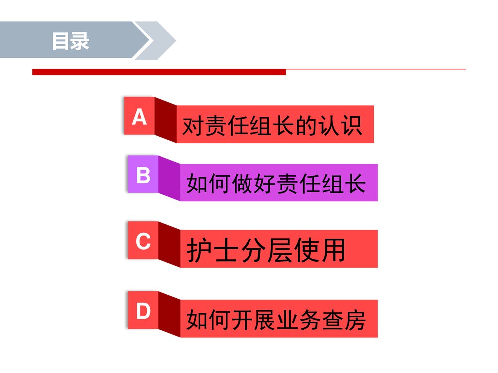 护理责任组长PPT课件下载1