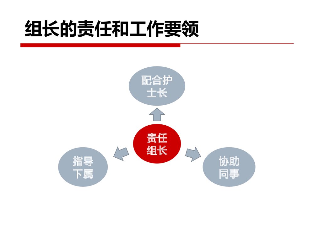 护理责任组长PPT课件下载4