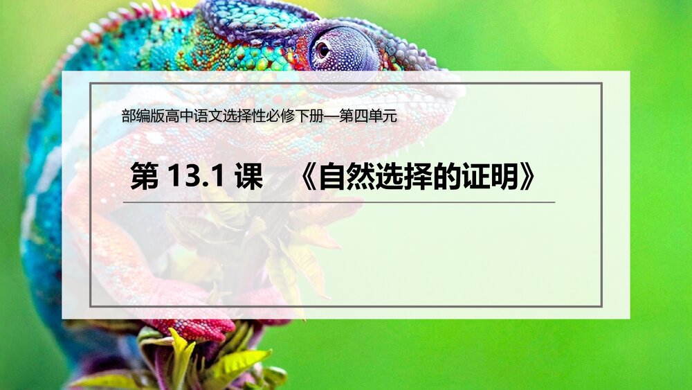《自然选择的证明》统编版高中语文选择性必修下册(第四单元)PPT课件1