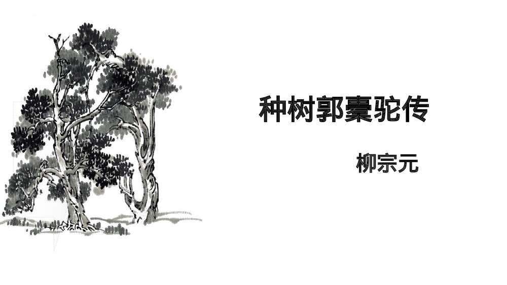 高中语文统编版选择性必修下册《种树郭橐驼传》PPT课件1