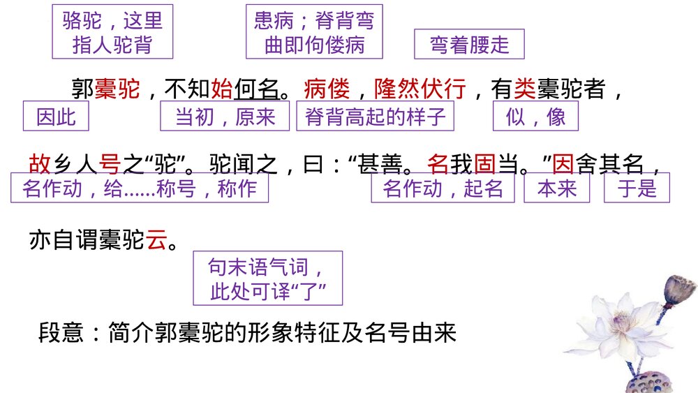 高中语文统编版选择性必修下册《种树郭橐驼传》PPT课件9