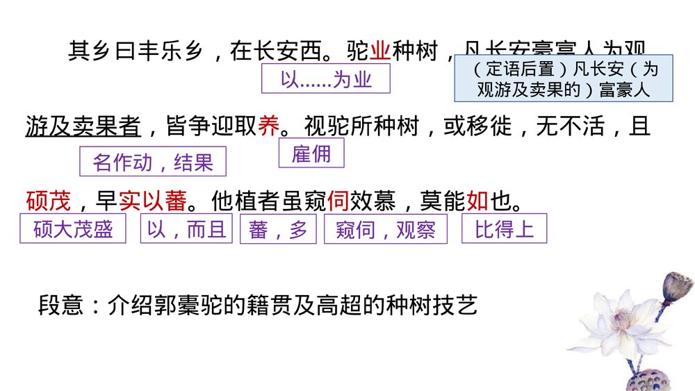 高中语文统编版选择性必修下册《种树郭橐驼传》PPT课件10
