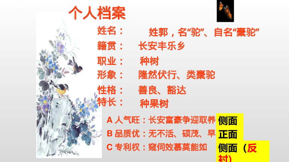 《种树郭橐驼传》高中语文选择性必修下册PPT课件4