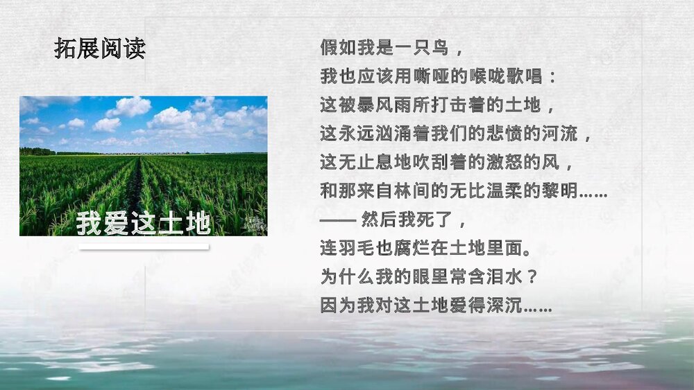 《大堰河——我的保姆》统编版高中语文选择性必修下册PPT课件下载5