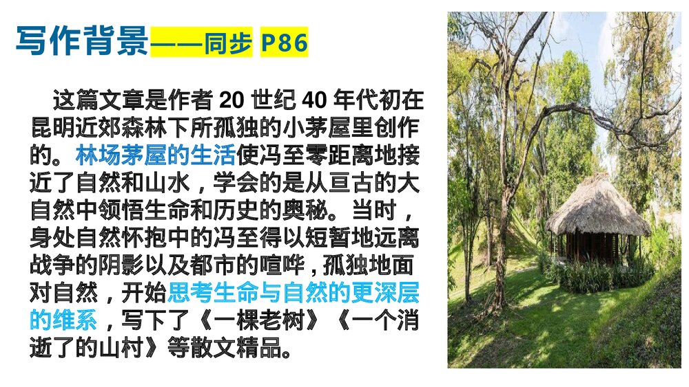 《一个消逝了的山村》高中语文选择性必修下册PPT课件下载4