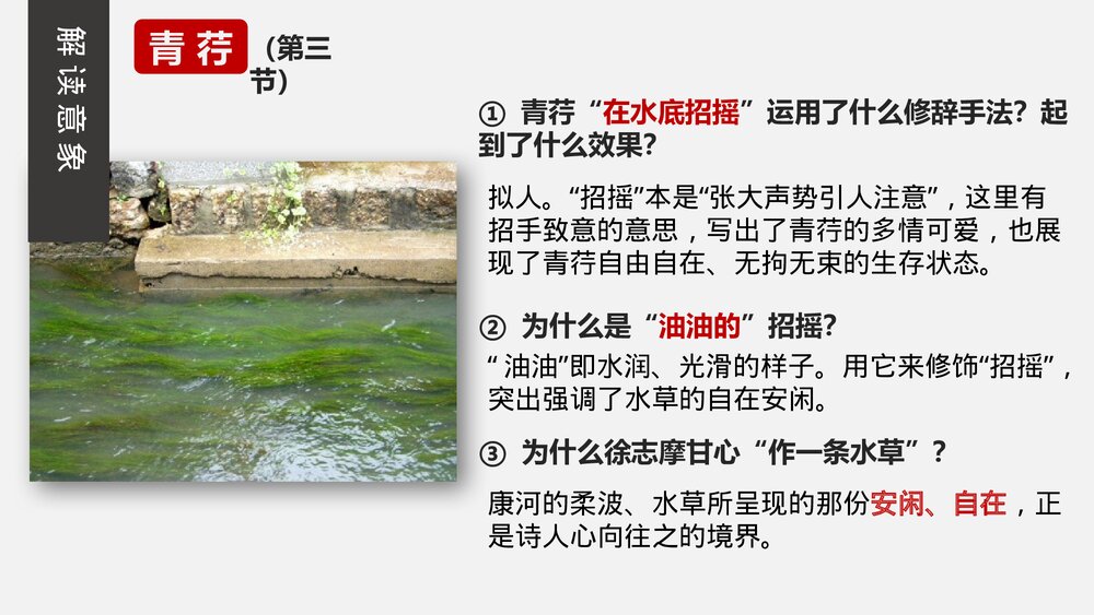 《再别康桥》高中语文选择性必修下册PPT教学课件6