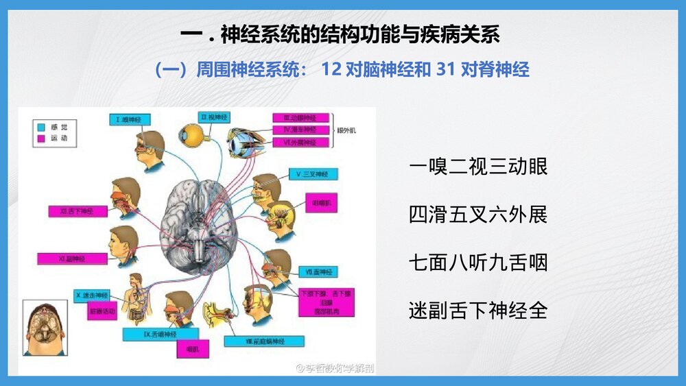 神经系统疾病病人的护理PPT课件下载2