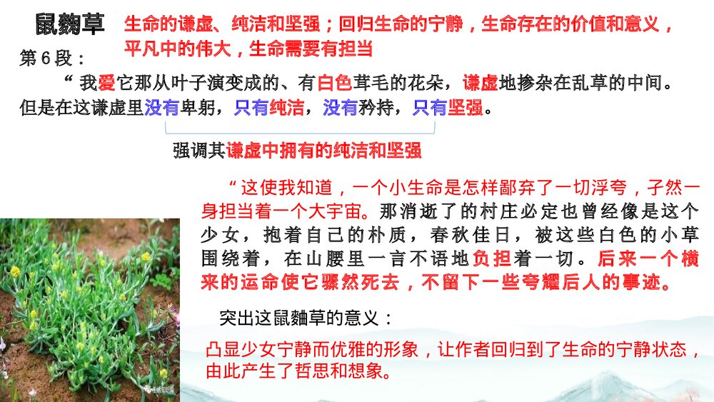 高中语文统编版选择性必修下册 《一个消逝了的山村》PPT课件下载8