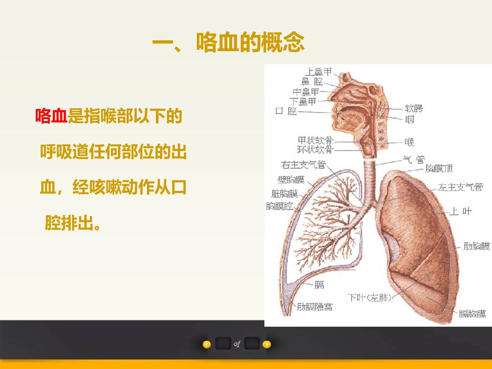 咯血PPT课件下载2