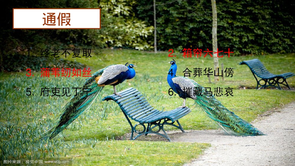 《孔雀东南飞》高中语文统编版选择性必修下册PPT课件下载2