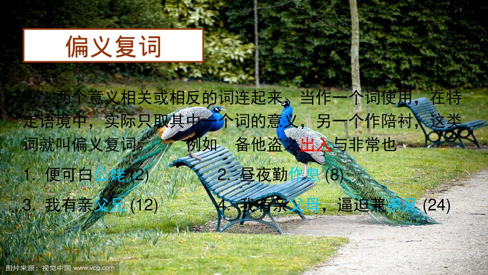 《孔雀东南飞》高中语文统编版选择性必修下册PPT课件下载3