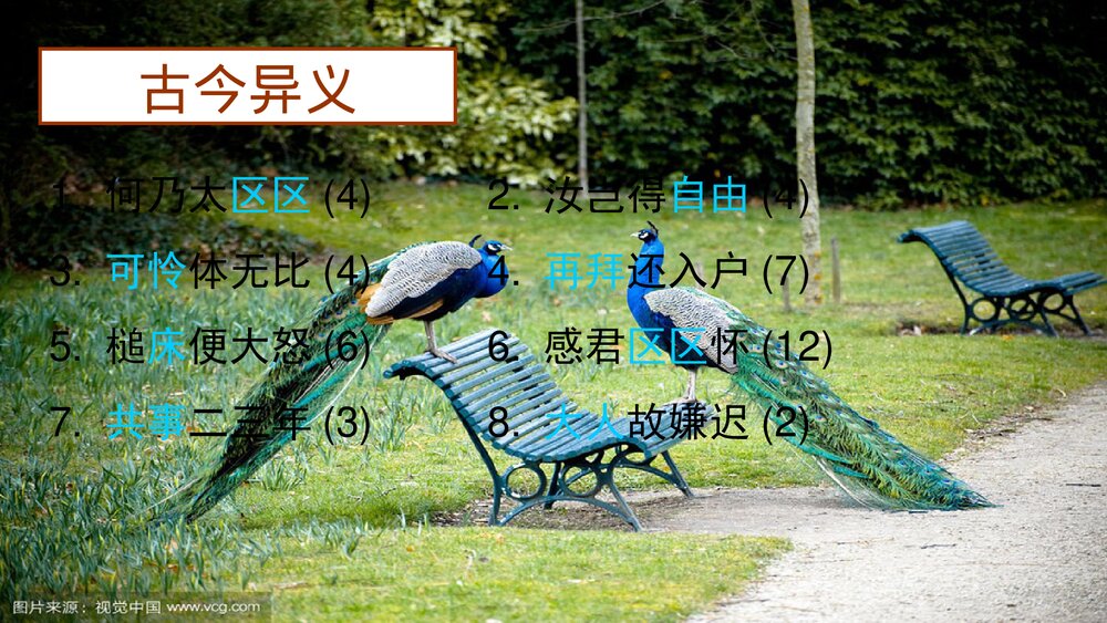 《孔雀东南飞》高中语文统编版选择性必修下册PPT课件下载4