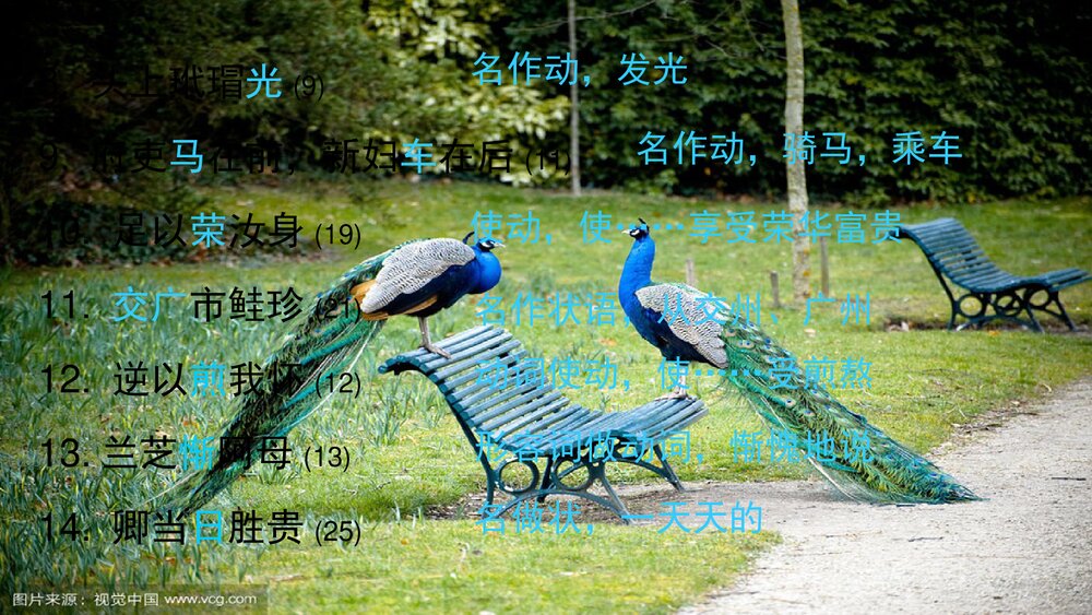 《孔雀东南飞》高中语文统编版选择性必修下册PPT课件下载7