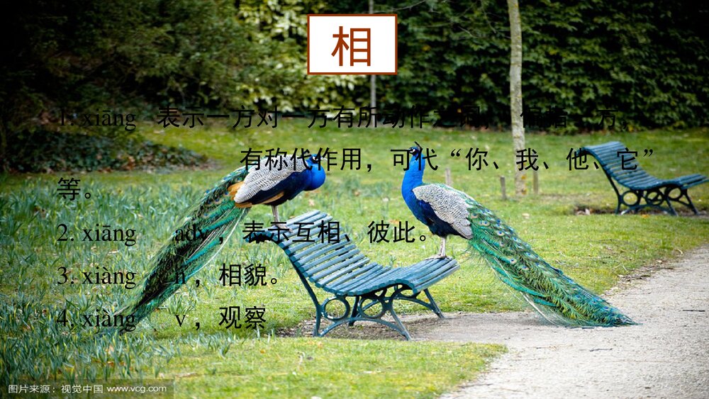 《孔雀东南飞》高中语文统编版选择性必修下册PPT课件下载8