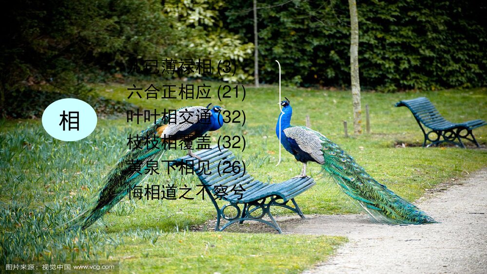 《孔雀东南飞》高中语文统编版选择性必修下册PPT课件下载9