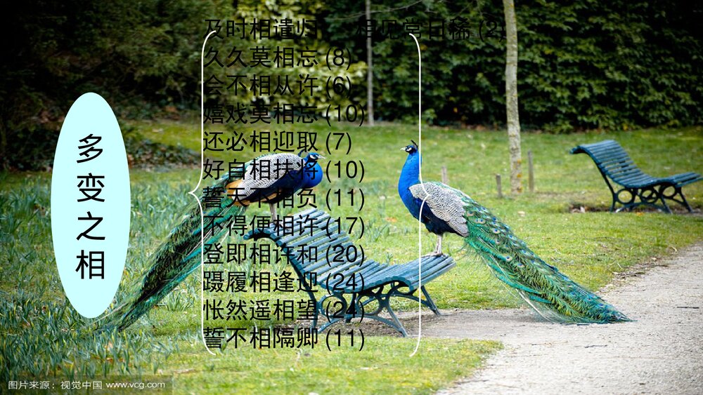 《孔雀东南飞》高中语文统编版选择性必修下册PPT课件下载10