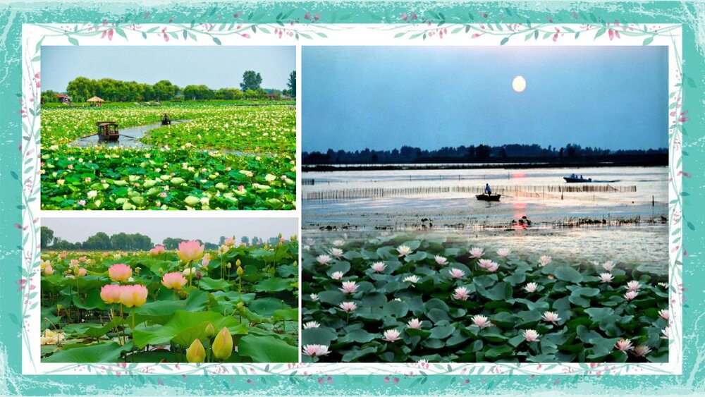 《荷花淀》统编版高中语文选择性必修中册PPT课件2