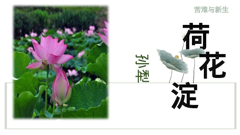 《荷花淀》统编版高中语文选择性必修中册PPT教学课件1