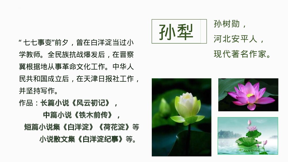 《荷花淀》统编版高中语文选择性必修中册PPT教学课件2