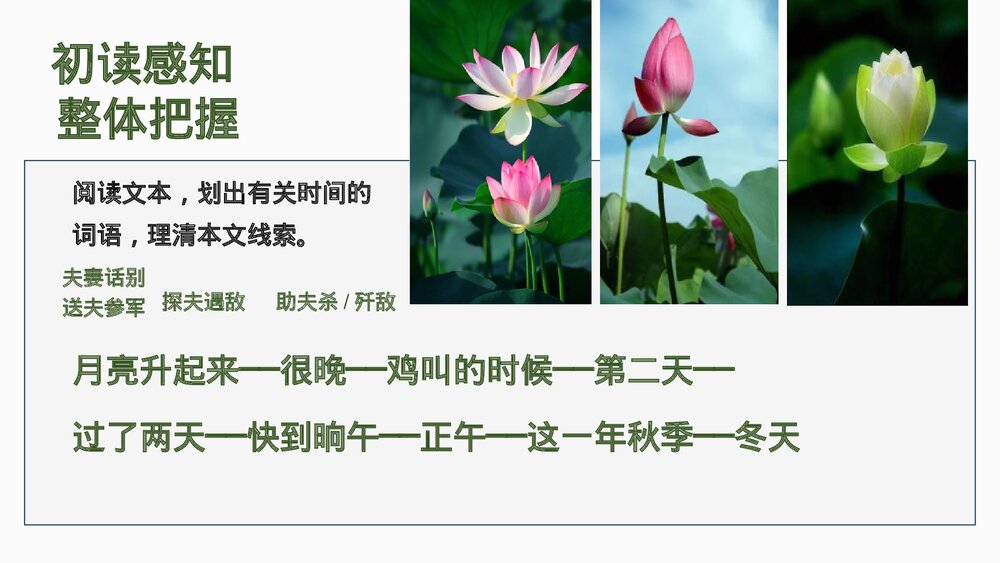 《荷花淀》统编版高中语文选择性必修中册PPT教学课件10