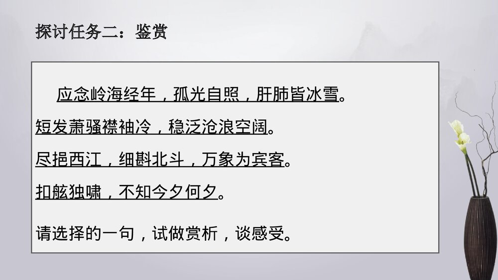高中语文统编版必修二《念奴娇·过洞庭》PPT课件10