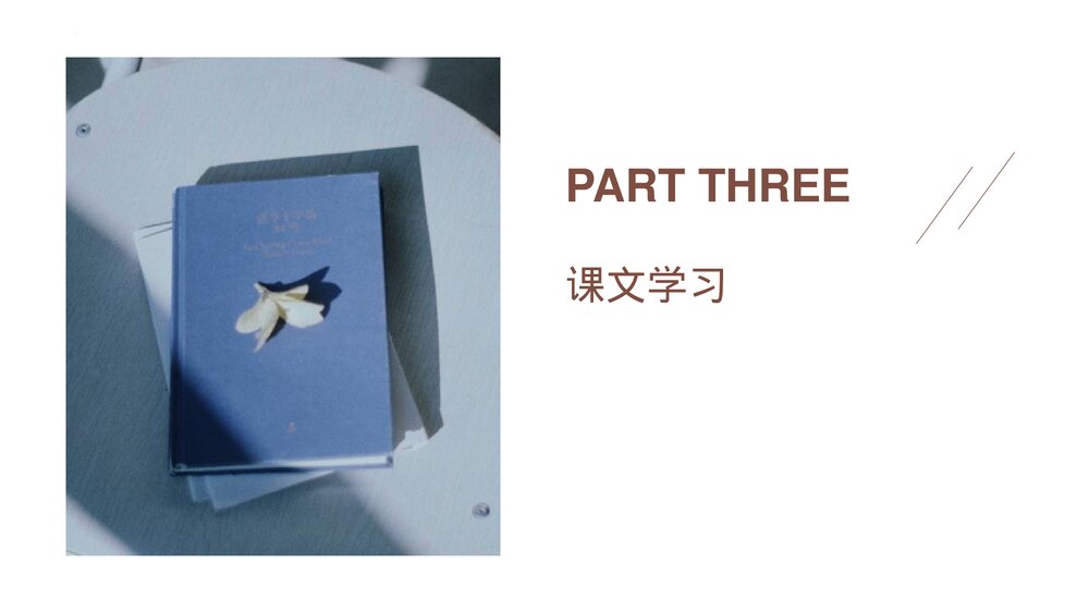 高中语文统编版必修二《在人民报创刊纪念会上的演说》PPT教学课件9