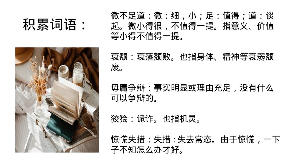 高中语文统编版必修二《在人民报创刊纪念会上的演说》PPT教学课件10