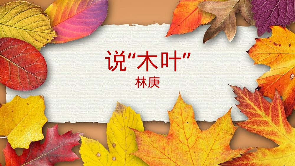 高中语文统编版必修二《说“木叶”》PPT课件1