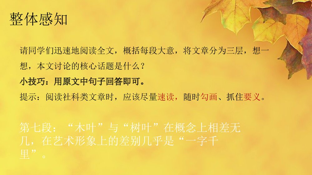 高中语文统编版必修二《说“木叶”》PPT课件5