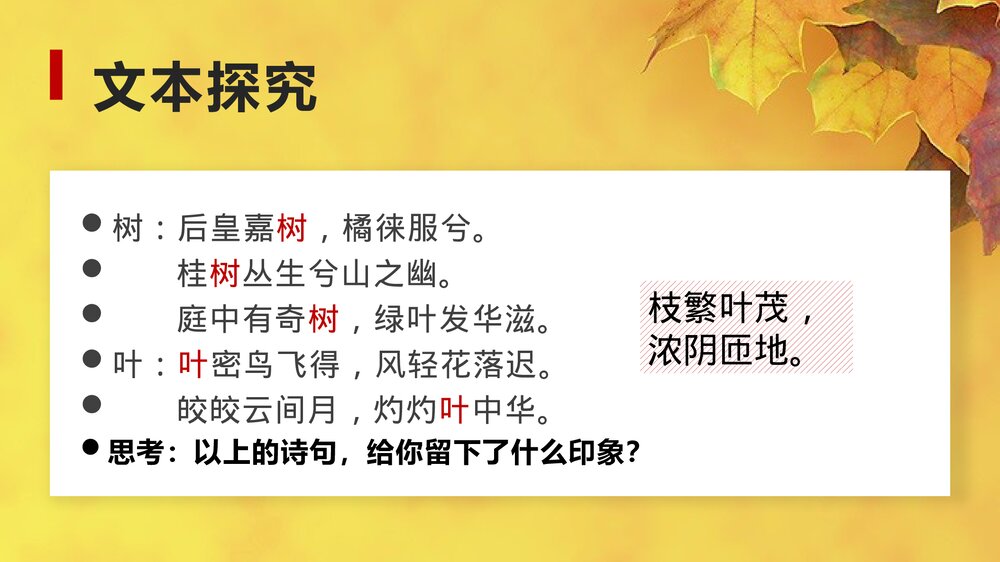 高中语文统编版必修二《说“木叶”》PPT课件8