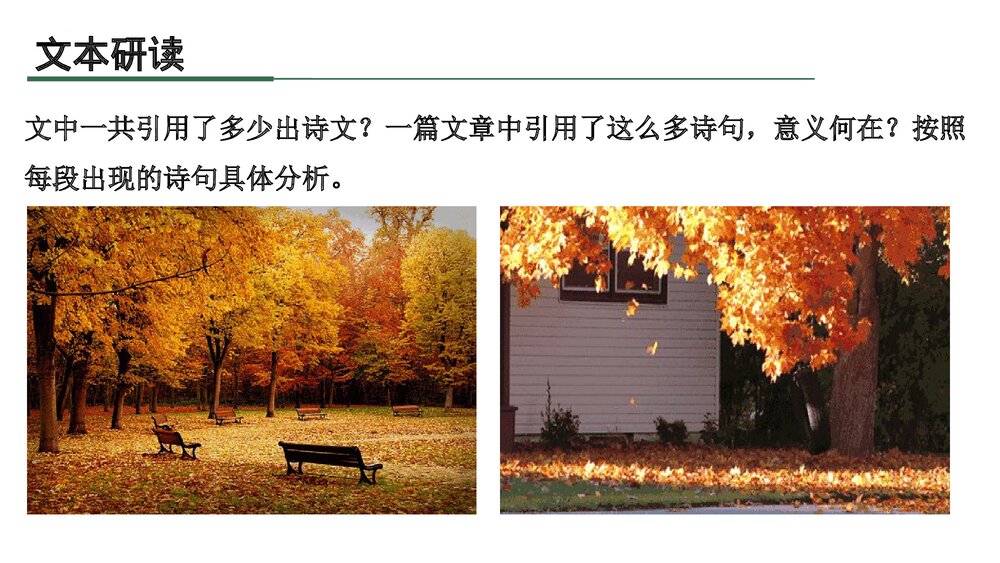 《说“木叶”》高中语文统编版必修二PPT课件下载7
