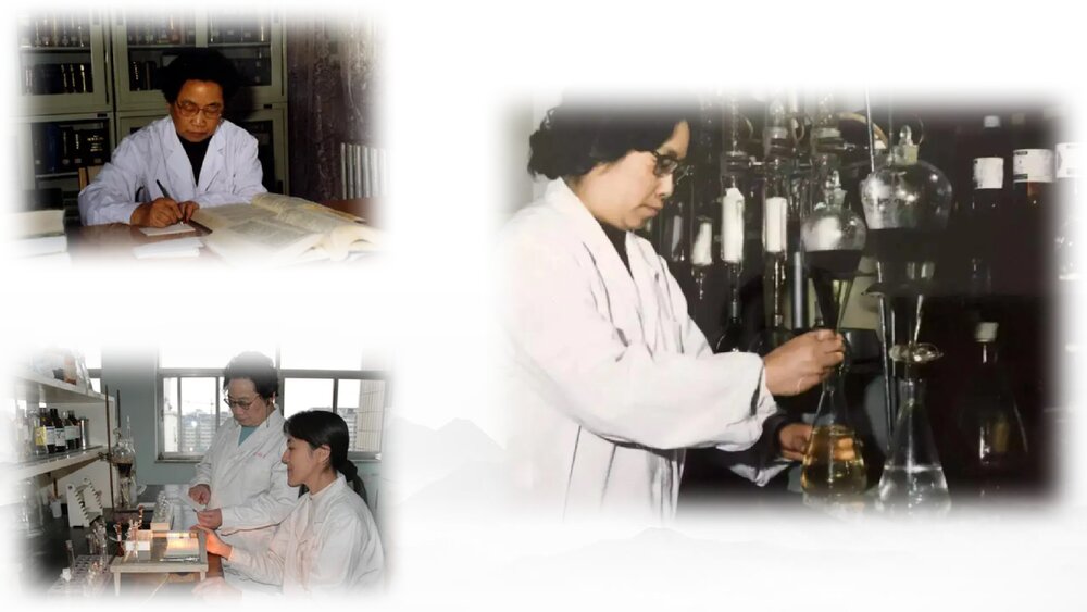 《青蒿素：人类征服疾病的一小步》统编版高中语文必修二PPT教学课件3