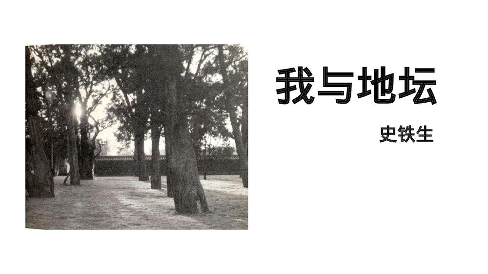 高中语文统编版必修一 《我与地坛(节选)》PPT课件1
