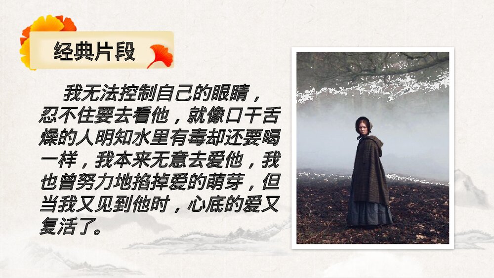 九年级语文下册《简·爱》外国小说的阅读PPT教学课件(第2课时)10