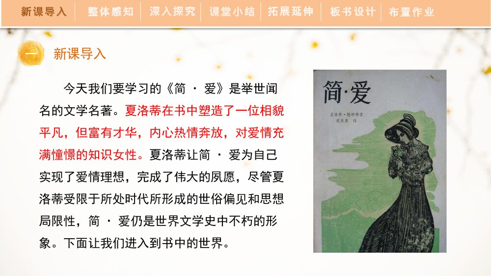 人教部编版初中语文九年级下册《简·爱》外国小说的阅读PPT教学课件6