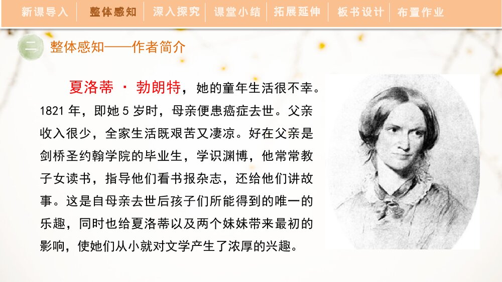 人教部编版初中语文九年级下册《简·爱》外国小说的阅读PPT教学课件9